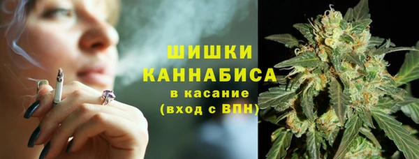 шишки Горнозаводск