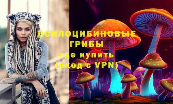 шишки Горнозаводск
