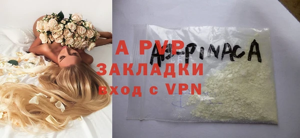 индика Вяземский