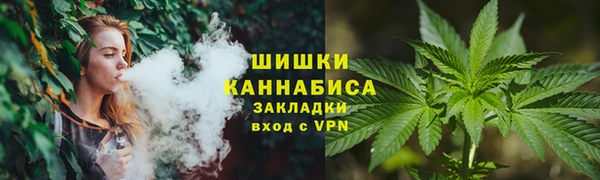 прущие крисы Горняк