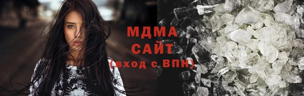 индика Вяземский