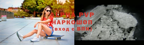 индика Вяземский
