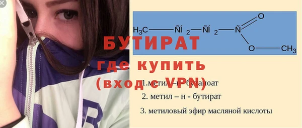 индика Вяземский