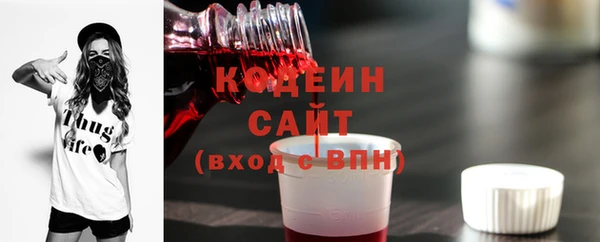 индика Горно-Алтайск