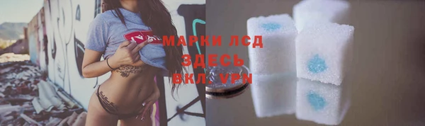 индика Горно-Алтайск