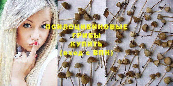индика Горно-Алтайск