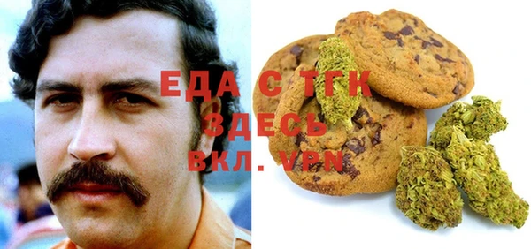 индика Горно-Алтайск