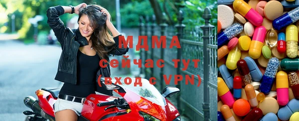 индика Вяземский