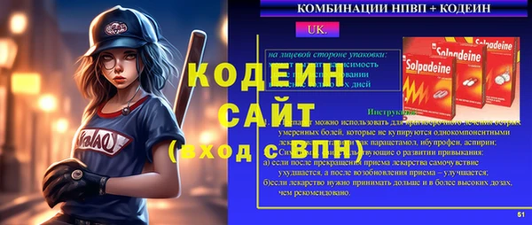 индика Вяземский