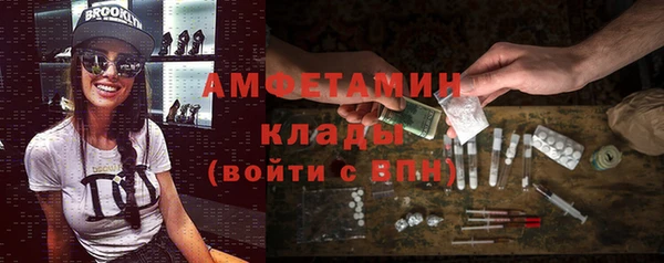 индика Вяземский