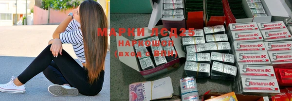 индика Вяземский