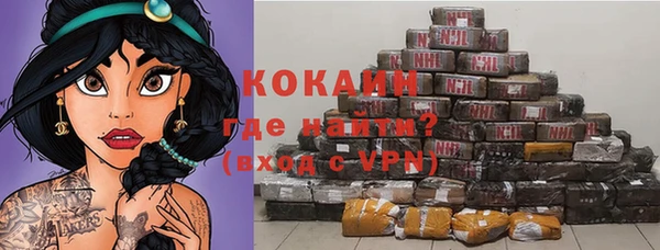 прущие крисы Горняк