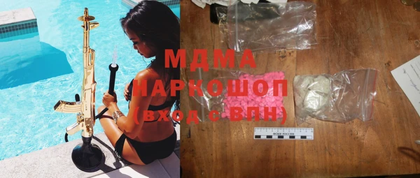 индика Вяземский