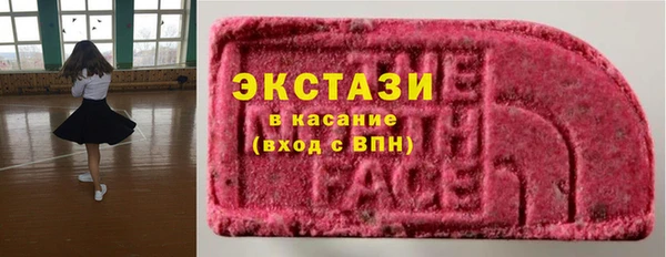 индика Горно-Алтайск