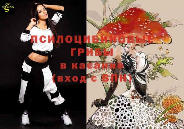 индика Вяземский
