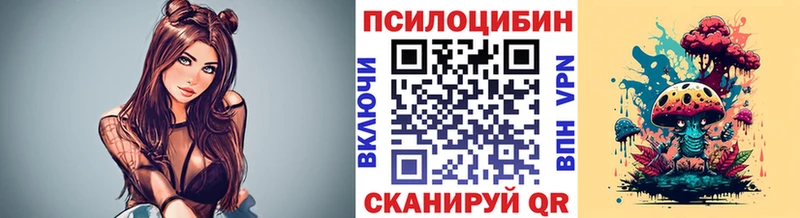 где найти   Иркутск  Галлюциногенные грибы Psilocybine cubensis 